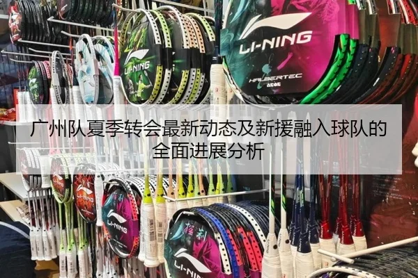 广州队夏季转会最新动态及新援融入球队的全面进展分析